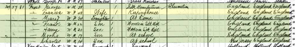 1880 census detail — the Frost household, Paterson