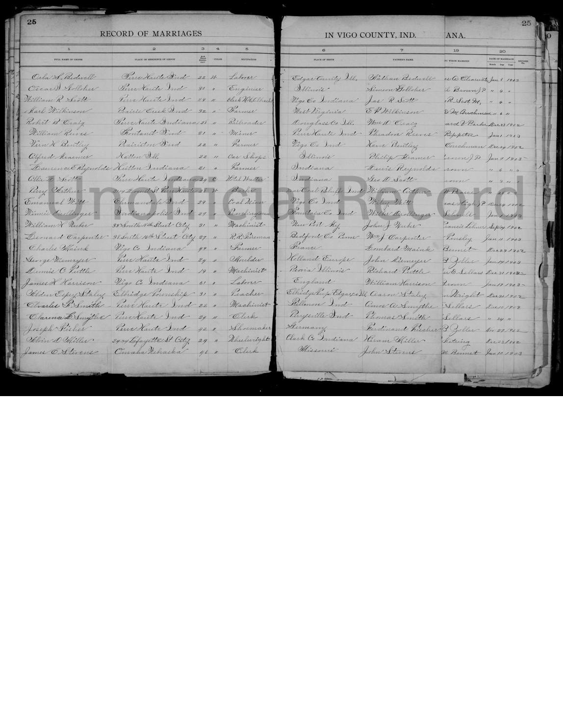 Dennis Tuttle's 1902 marriage record