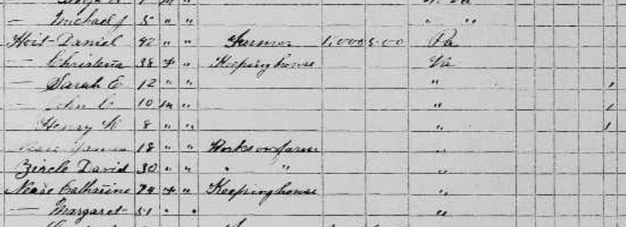 1870 census, Graham District — Catharine Nease's household