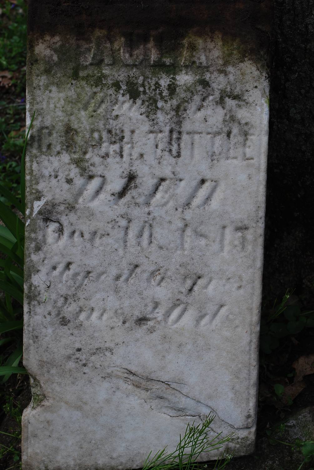 Headstone: “AULA, Dau of C.S. & H. TUTTLE, died Dec. 10, 1845, aged 6y 3m 20d”